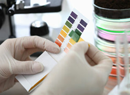 Court-Admissible Results